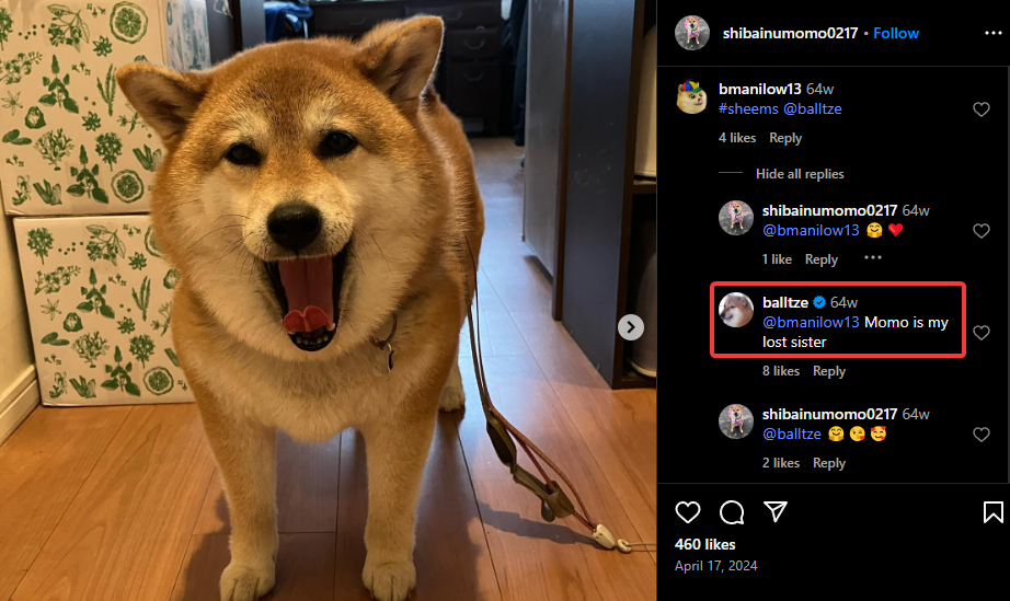Official Bonk confirms